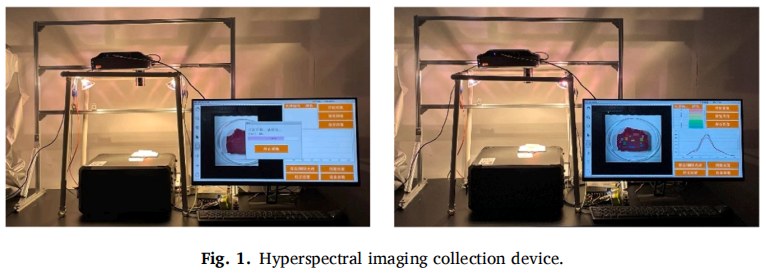 Hyperspectral imaging system used for pork freshness testing