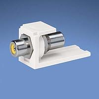 Mô-đun Ghép Nối Kênh RCA Đầu Ra Xuyên Qua Màu Xanh Lá Panduit CMRPGIG