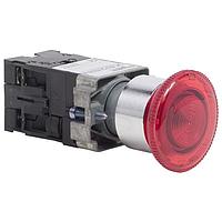 Công tắc nhấn PUSHBUTTON 600VAC 10A 22MM XB6 SCHNEIDER XB2BN416124V