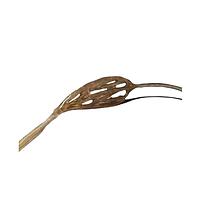 Mô hình mạch máu phức hợp True Phantom Solutions VS-C02