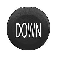 Nắp nút nhấn đã đánh dấu 16MM PB CAP 65168-024 SCHNEIDER ZB6YA228