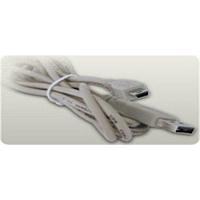 Cáp USB A sang Mini B Digilent 310-054