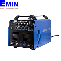 Riland TIG 250PAC/DC TIG Welder (220V, 4.8kVA)