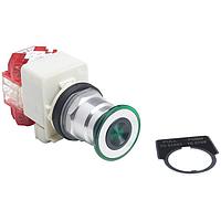 Công tắc nhấn PSH BTTN 600VAC 10A 30MM, Loại K SCHNEIDER 9001KR8P1GH25