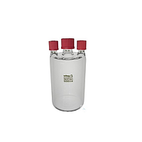 WITEG 5 801 002 Woulff bottle (2000ml)