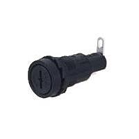 Shin Chin R3-11B ガラスタイプヒューズ 10A/250VAC