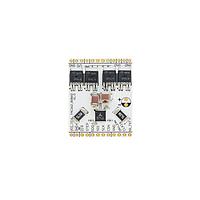 ADI Trinamic TMC262-BOB60 Motor/Motion Controller & Driver Stepper motor driver 7 to 34V, for external P/N-Fets with S/D and SPI Interface, 256 Steps, CoolStep, StallGuard2 and SpreadCycle.