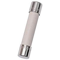 Mersen GSA10 미지트 퓨즈, 미지트, 타임 딜레이, 세라믹, PC 마운트, 10kA, 250VAC, 10A