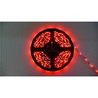 Thanh và Dải Đèn LED Chiếu Sáng Màu Đỏ 630 nm, 12 volt, Độ Sáng Thường 12M Inspired LED 12V-NB-RED-12M