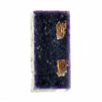 Thiết bị chống tĩnh điện dòng đơn dung lượng thấp ESD TVS 0201 STMicroelectronics ESDALC6V1-1U2