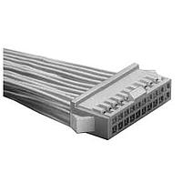 Đế cắm 2.5MM HAI HÀNG 24 CHÂN ĐẾ CẮM DẠNG DỌC Hirose Electric DF1B-24DES-2.5RC