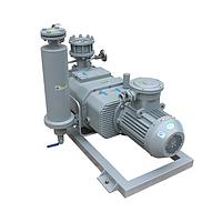 Hokaido RSP35 건식 스크류 진공 펌프 (35 m³/h, 4 Pa, 3 kW)