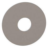 Essentra Components 17W10013 평와셔, .312 내경, 1.000 외경, .032 두께