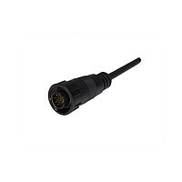 Amphenol LTW ADD-18AFMM-SL7A01 Sensor Cables / Actuator Cables Ceres, Large Size, Plastic, 5A, 18 pins, Female Connector, Male Contact, Straight, Screw Thread, Overmolded, Length 1000mm, IP67