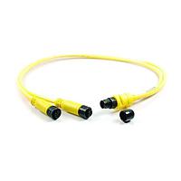 Cáp Cảm Biến / Cáp Bộ Chuyển Động Amphenol SINE Systems P29332