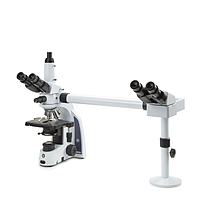 Euromex IS.1156-PLi2 iScope trinocular multihead microscope with 1 extra binocular head (EWF 10x/20 mm, 4/10/S40/S100x)