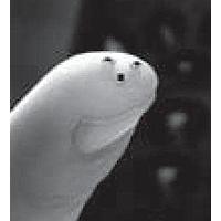 Ametherm SM04503410 NTCサーミスタ 50Kオーム B-4110K SMD 0402