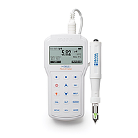 HANNA HI98163 便携式pH-mV-ºC/ºF测定仪 (-2.0 ~ 20.0 pH)