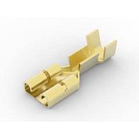 Ổ cắm 250 FAST REC IS AMP Connectors - TE Connectivity 63537-1