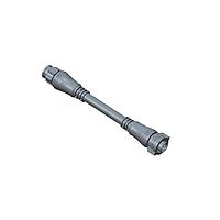 Amphenol LTW AB-AD02ML-ADFL-QD003 Sensor Cables / Actuator Cables X-Lok, Mini Size, Plastic, 5A, 02 pins, Male Connector, Male Contact, Straight-to-Straight, Push Lock, Overmolded Double Ended, Length 3000mm, IP68